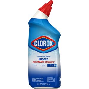 Clorox Toilet Bowl Cleaner Rain Clean 709ml